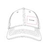 CAP-024-VECTOR