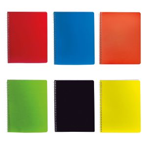 Cuaderno Profesional