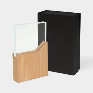 Reconocimiento Lynor