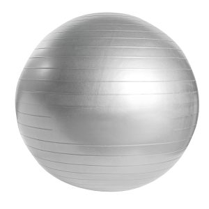 Pelota De Pilates Wellness
